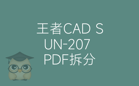 王者CAD SUN-207 PDF拆分-博士钣金 - www.bsbanjin.com