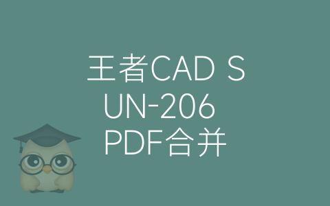 王者CAD SUN-206 PDF合并-博士钣金 - www.bsbanjin.com