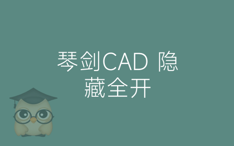 琴剑CAD 隐藏全开-博士钣金 - www.bsbanjin.com