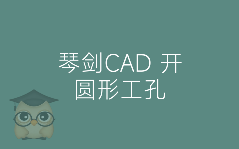 琴剑CAD 开圆形工孔-博士钣金 - www.bsbanjin.com