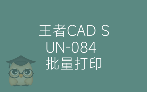 王者CAD SUN-084 批量打印-博士钣金 - www.bsbanjin.com