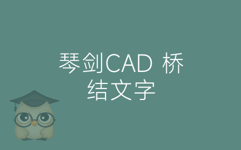 琴剑CAD 桥结文字-博士钣金 - www.bsbanjin.com