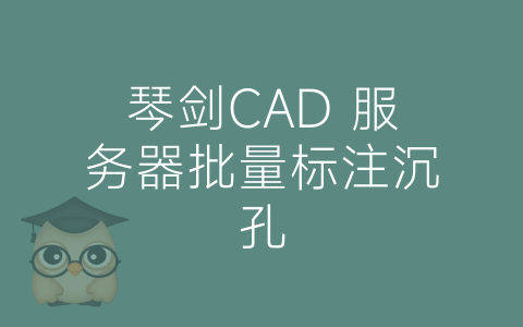 琴剑CAD 服务器批量标注沉孔-博士钣金 - www.bsbanjin.com