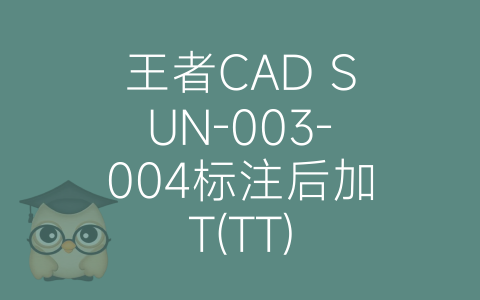 王者CAD SUN-003-004标注后加T(TT)-博士钣金 - www.bsbanjin.com