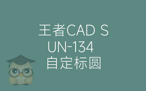 王者CAD SUN-134 自定标圆-博士钣金 - www.bsbanjin.com