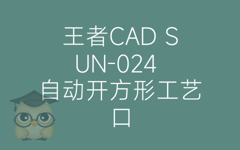 王者CAD SUN-024 自动开方形工艺口-博士钣金 - www.bsbanjin.com