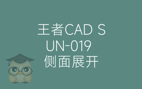 王者CAD SUN-019 侧面展开-博士钣金 - www.bsbanjin.com