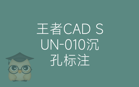 王者CAD SUN-010沉孔标注-博士钣金 - www.bsbanjin.com