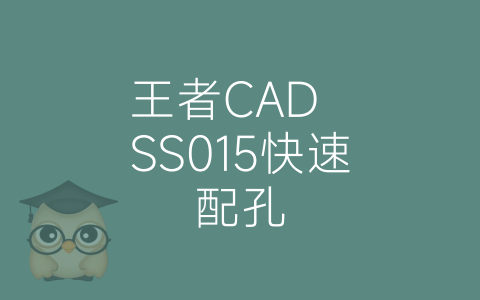 王者CAD  SS015快速配孔-博士钣金 - www.bsbanjin.com