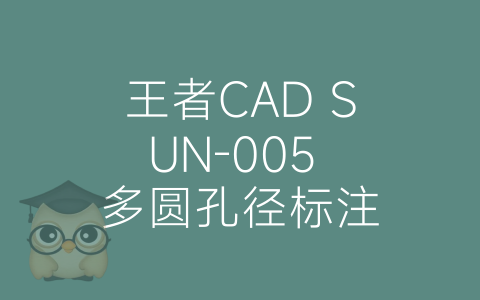 王者CAD SUN-005 多圆孔径标注-博士钣金 - www.bsbanjin.com