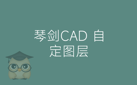 琴剑CAD 自定图层-博士钣金 - www.bsbanjin.com