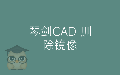 琴剑CAD 删除镜像-博士钣金 - www.bsbanjin.com