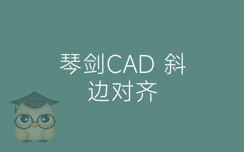 琴剑CAD 斜边对齐-博士钣金 - www.bsbanjin.com