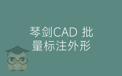 琴剑CAD 批量标注外形-博士钣金 - www.bsbanjin.com