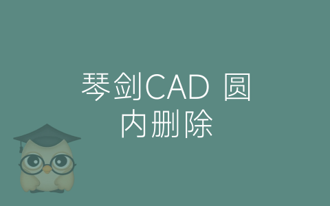 琴剑CAD 圆内删除-博士钣金 - www.bsbanjin.com