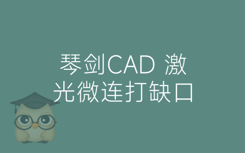 琴剑CAD 激光微连打缺口-博士钣金 - www.bsbanjin.com