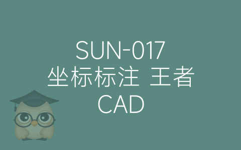 SUN-017坐标标注 王者CAD-博士钣金 - www.bsbanjin.com