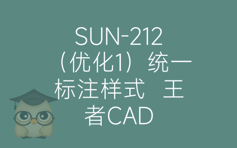 SUN-212（优化1）统一标注样式  王者CAD-博士钣金 - www.bsbanjin.com