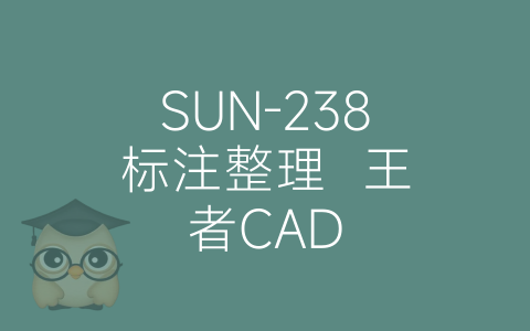 SUN-238标注整理  王者CAD-博士钣金 - www.bsbanjin.com